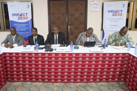 Presidium_Atelier_vulgarisation_Vision_Plan_strategique_Burkina_170225