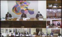 Image de la Visioconférence 