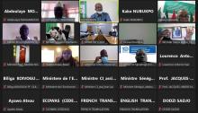 Image Visioconférence des ministres de l'environnement