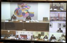 Image de la Visioconférence 