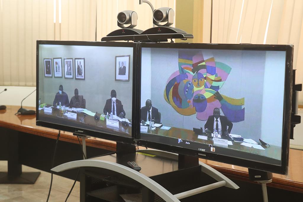 Image de la Visioconférence